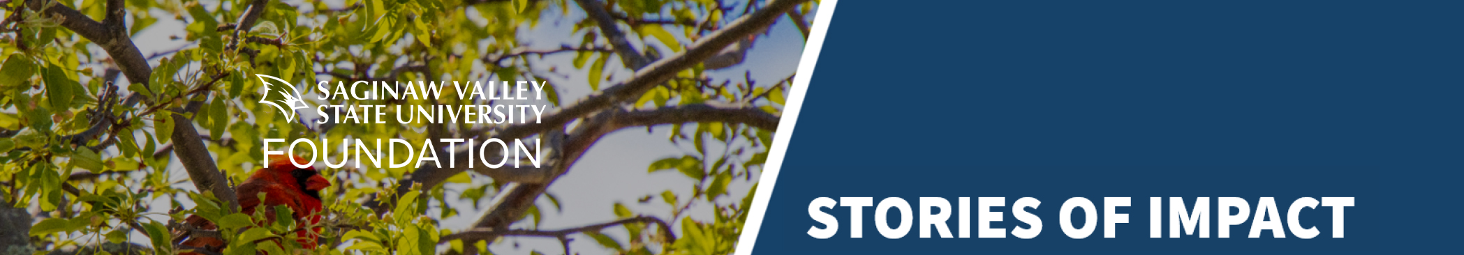 Foundation logo on the left in front of background with cardinal in a tree and on the right in white lettering in front of a quadrangle box it says Stories of Impact